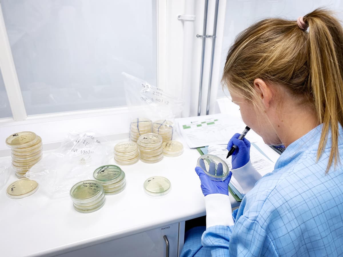 Quality testing lab